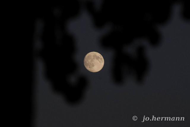 Mond im Oktober-003.jpg